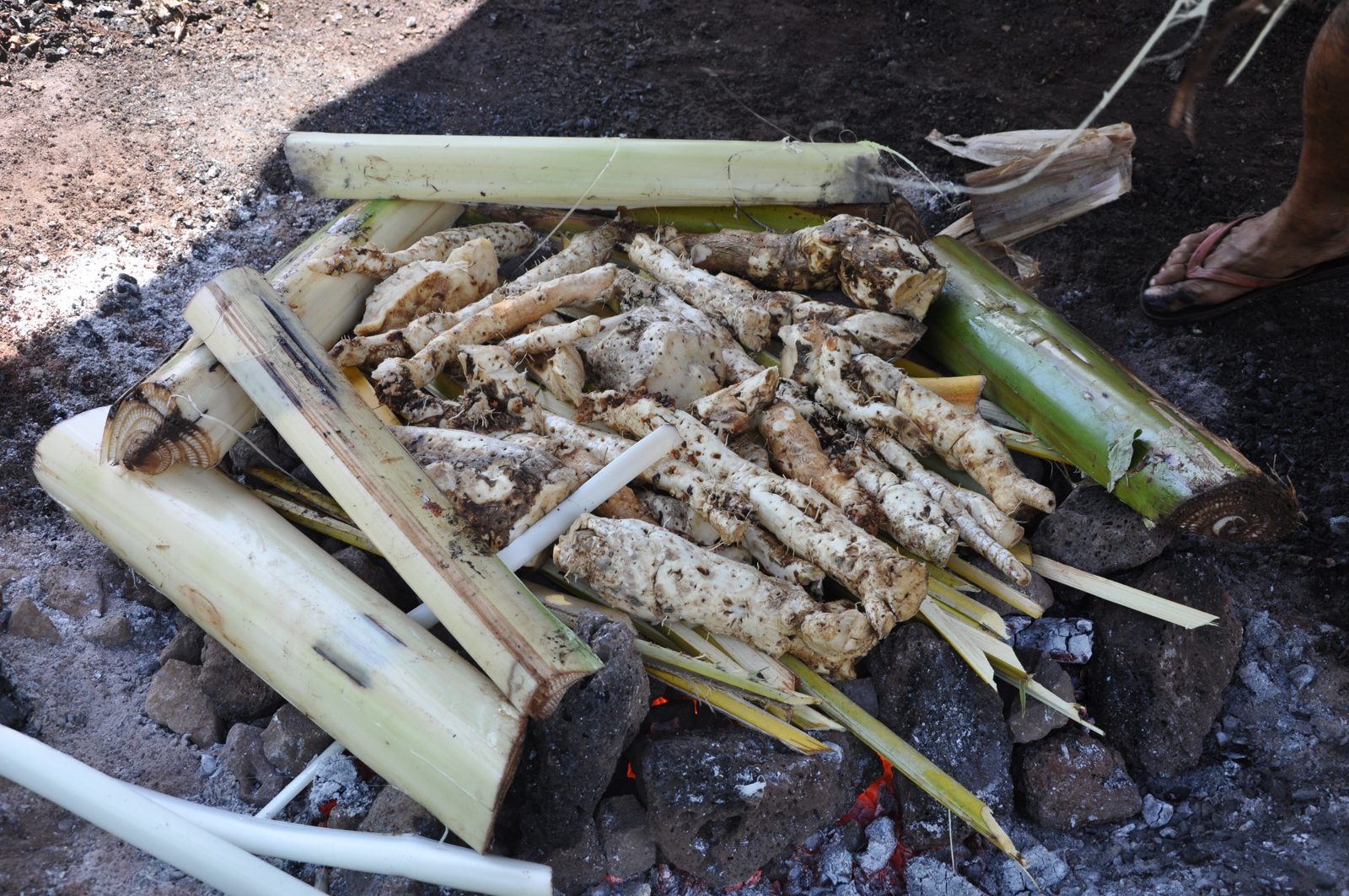 Photo : Le sucre du Pacifique