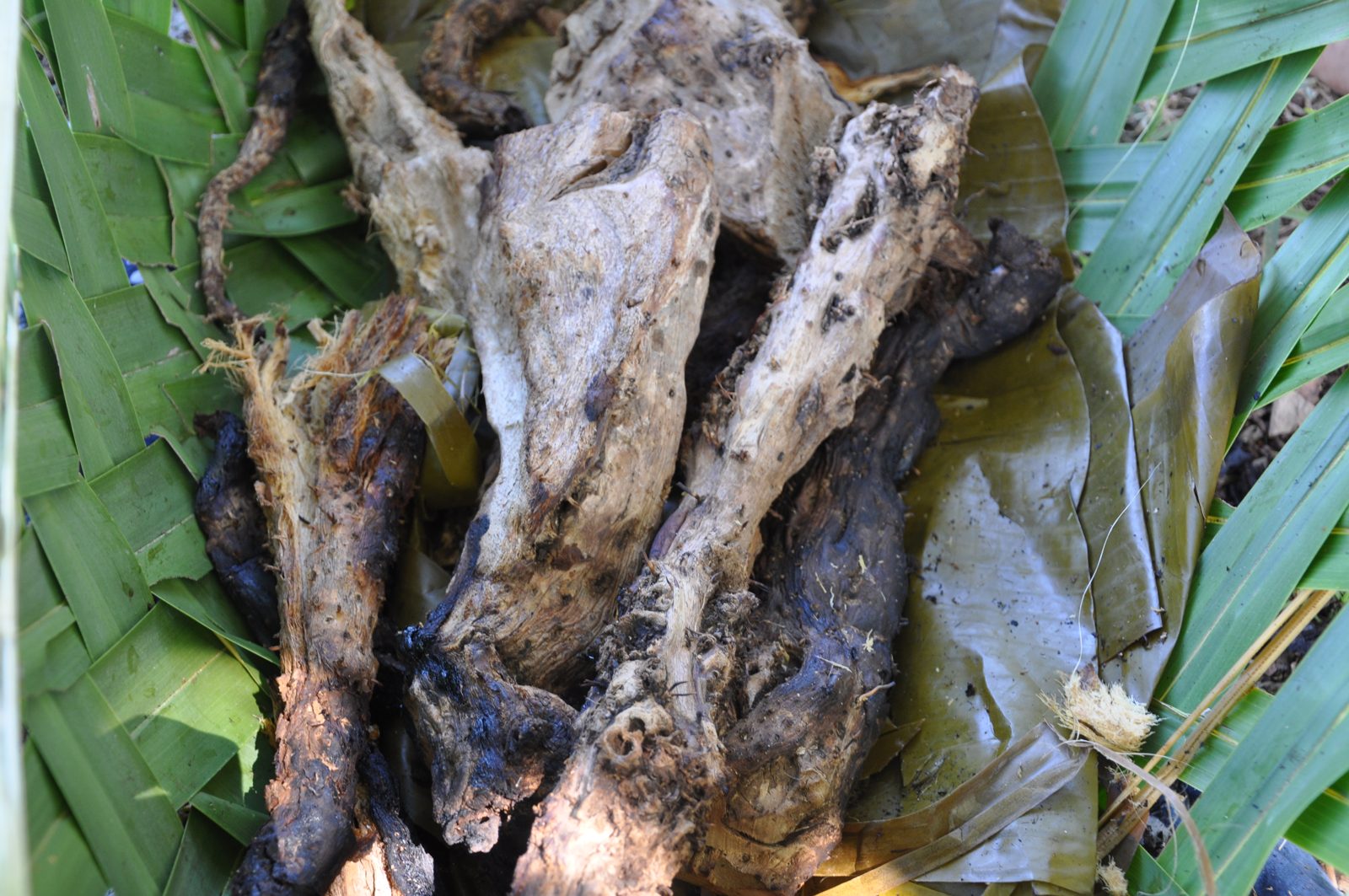 Photo : Le sucre du Pacifique