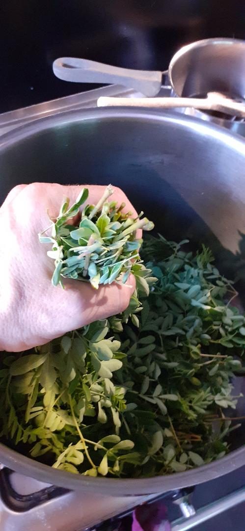 Photo : Potage moringa, giraumon et patates douces